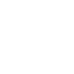 Space Operations Command Logo