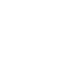 US Cyber Command Logo