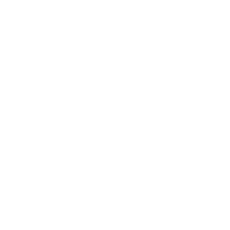 United States Space Force Logo